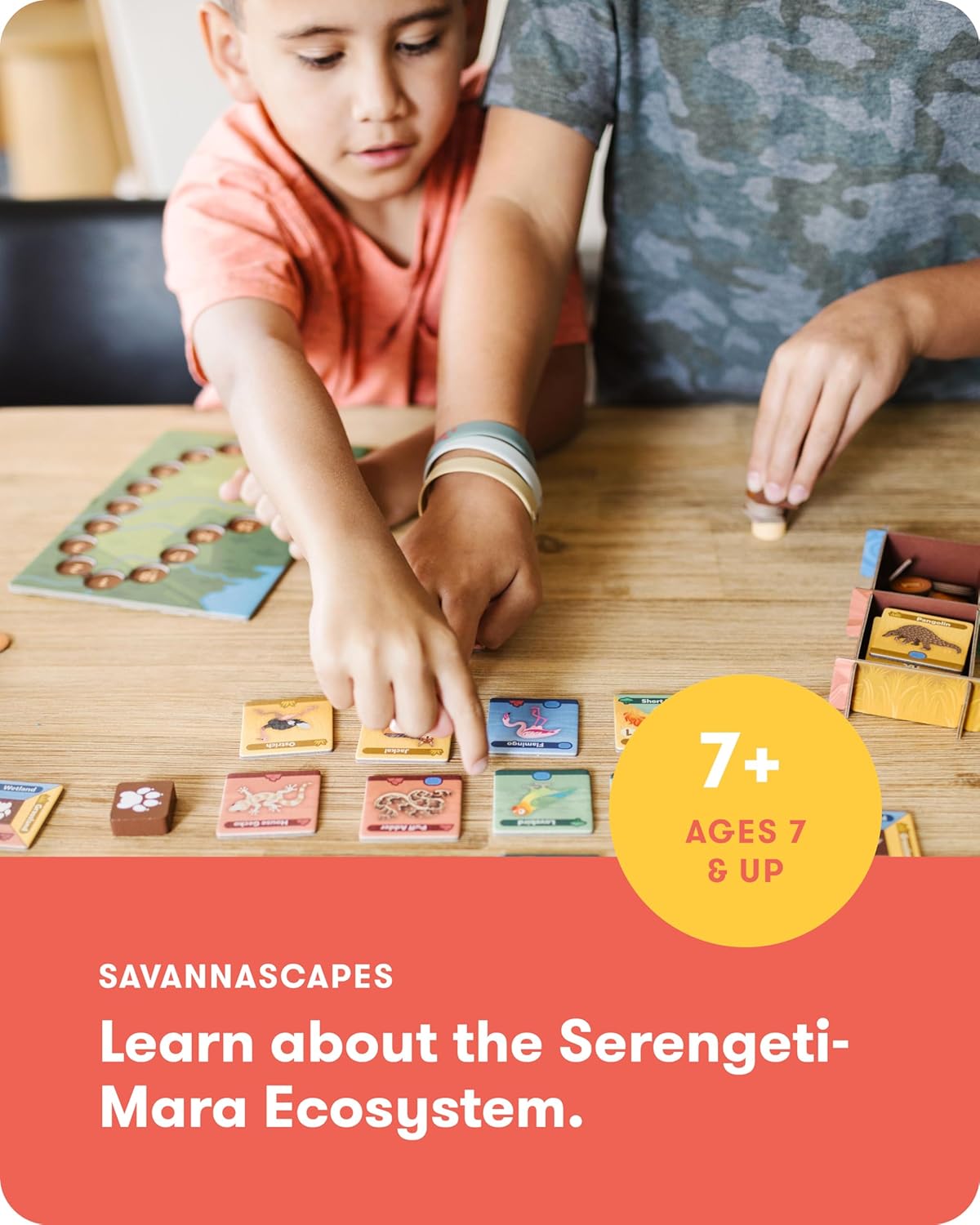 SimplyFun SavannaScapes - Learn About African Wildlife and Their Habitats. A Strategic and Educational Game for Kids Ages 7 & Up - 2 to 5 Players