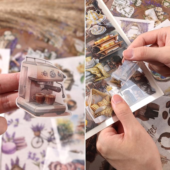 Scrapbook Reading Stickers 20 Sheets 240 Pre-Cut Washi Stickers