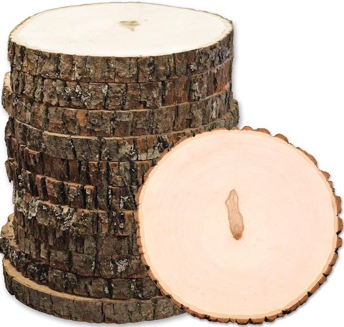 Wilson 12 Pack Basswood Round Rustic Wood Slice, Sanded Side, 9-12" Diameter