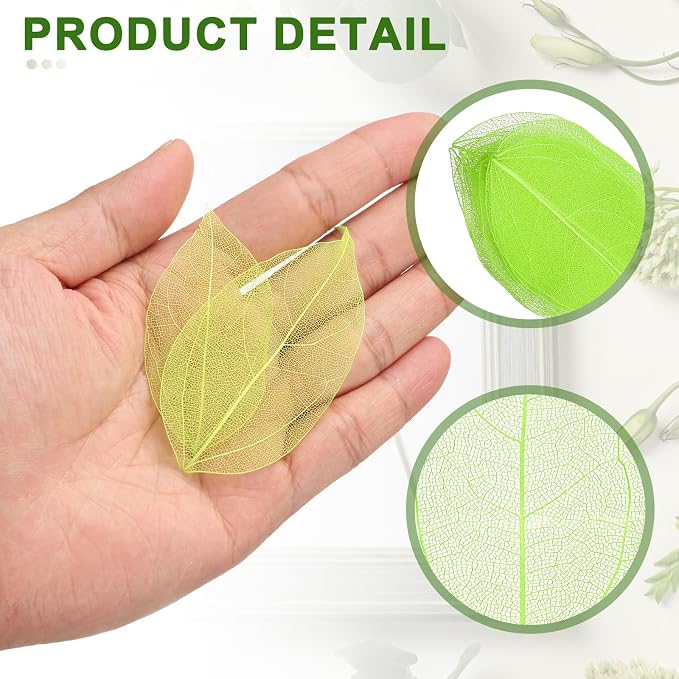 uxcell 100 Pcs Grass Green Skeleton Leaves
