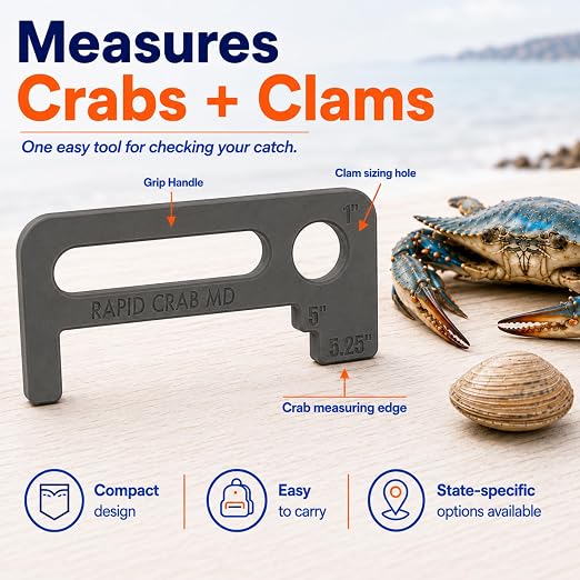 Crab Measurement Tool for MD Blue Crabs and Clams | Regulation Soft Shell