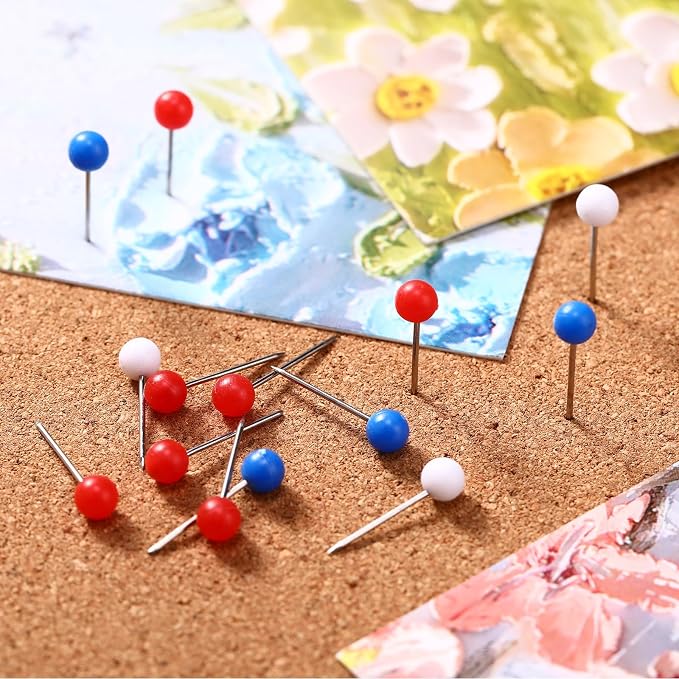 WILLBOND 500 Pack Map Push Pins Map Tacks Small Round Head Push Pins Thumb Tacks