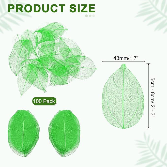 uxcell 100 Pcs Green Skeleton Leaves