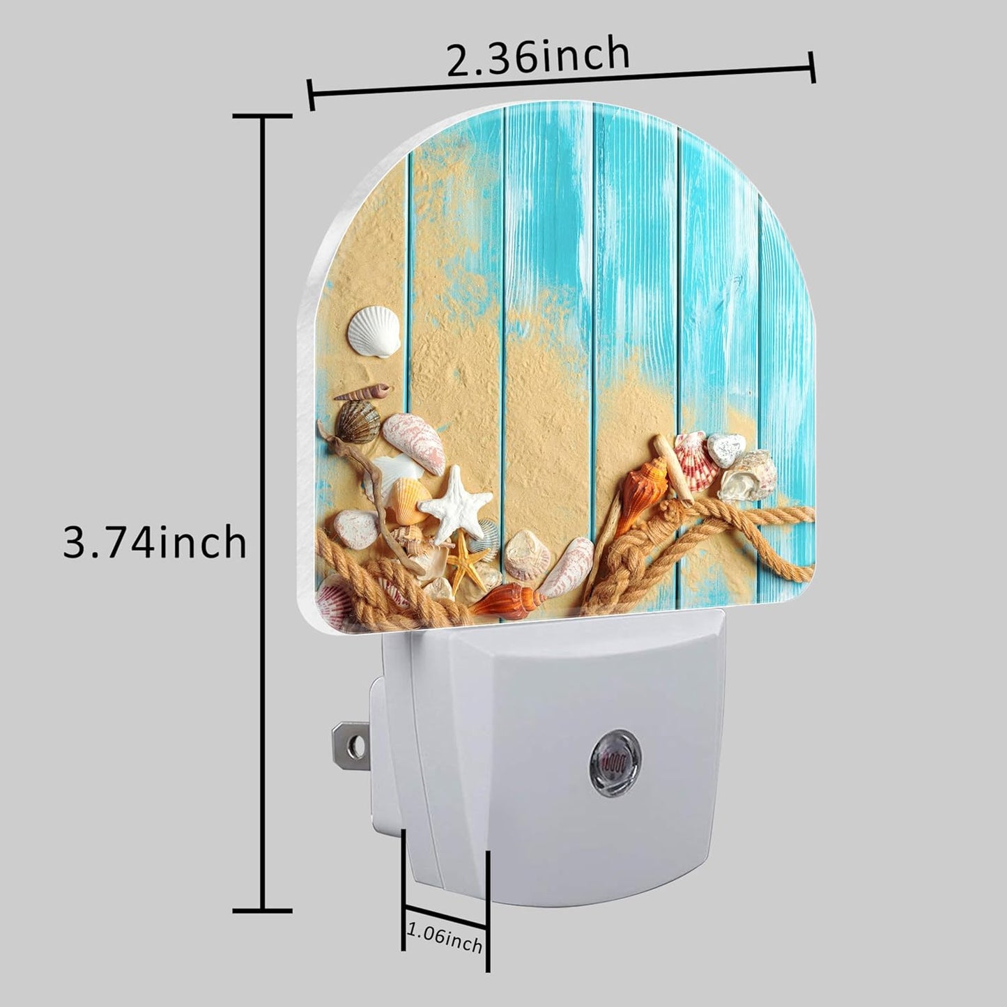 Night Light Plug into Wall Shells and Blue Wooden Planks Night Light with Dusk to Dawn Sensor Night Light for Kid Girls Boys Women Men Room Decor, Hallway, Kitchen, Bathroom, Nursery, Stairs