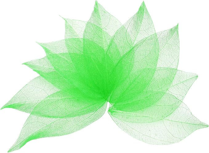 uxcell 100 Pcs Green Skeleton Leaves