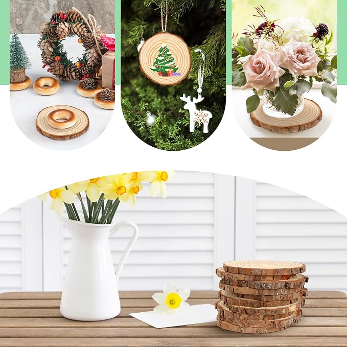 FSWCCK 10 PCS Unfinished Wood Slices