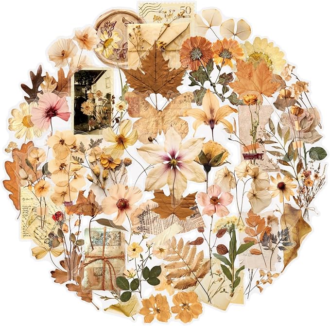 50 Pcs Dried Flower Stickers Aesthetic Autumn PET Transparent Stickers Vintage