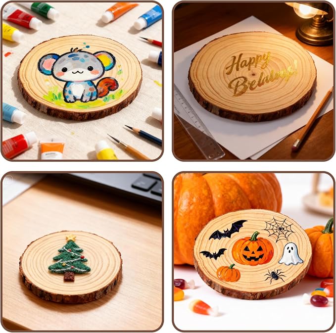 FSWCCK 6 PCS Unfinished Wood Slices