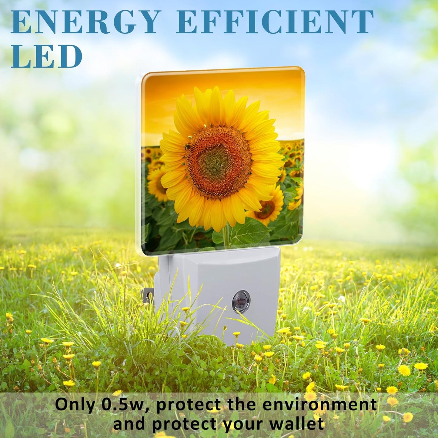 Plug in Night Lights Sunset Sunflower Field Nightlight Plug Into Wall Dusk to Dawn Sensor LED Night Light for Kid Girls Boys Women Men Room Decor, Hallway, Kitchen, Bathroom, Nursery, Stairs