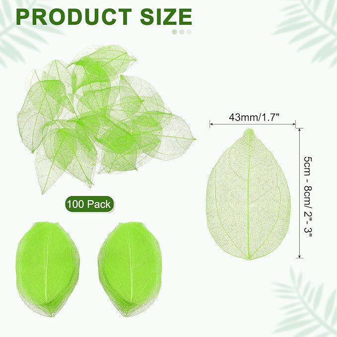 uxcell 100 Pcs Grass Green Skeleton Leaves