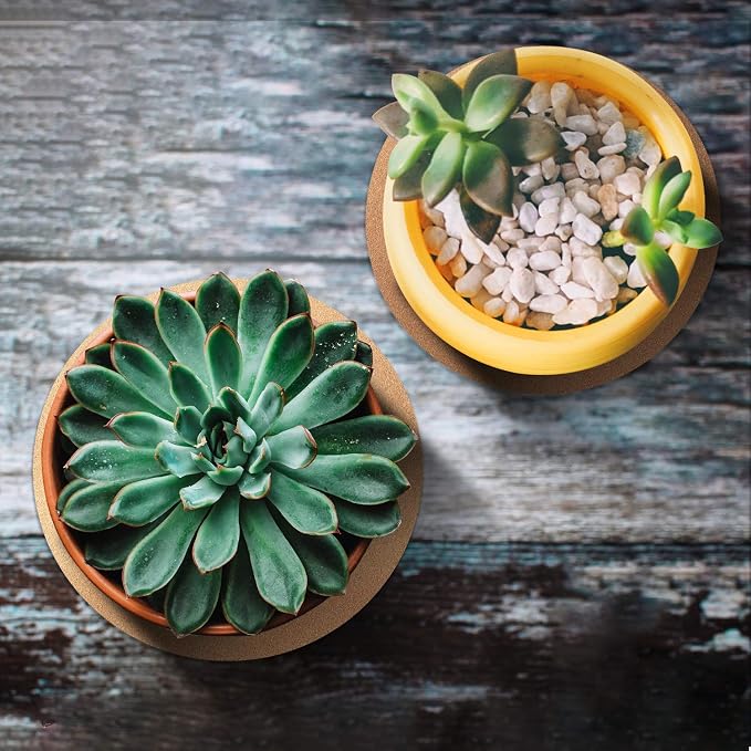 Boao 2 Pcs 12 Inch Large Cork Plant Coaster Round Cork Mat Trivet Absorbent