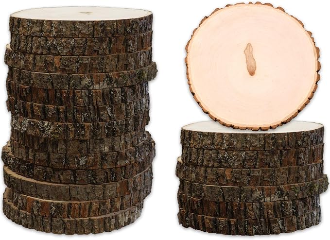 Wilson 20 Pack Basswood Round Rustic Wood Slice, Sanded Side, 9-12" Diameter