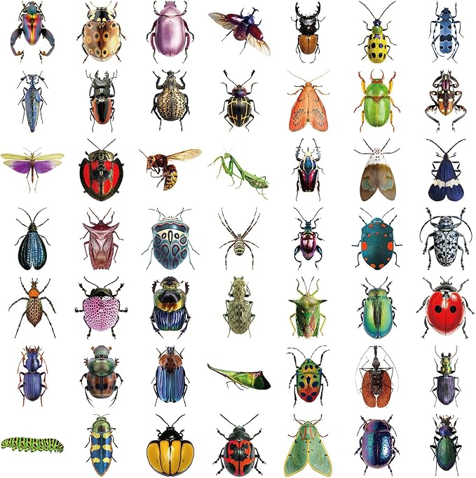 Bug Decals, Realistic Transparent Insect PET Sticker, Waterproof Bug Stickers