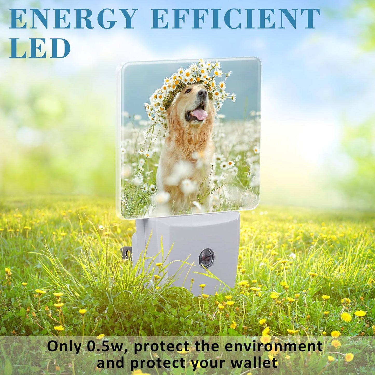 Plug in Night Lights Golden Retriever with Daisy Wreath Night Light with Dusk to Dawn Sensor Night Light for Kid Girls Boys Women Men Room Decor, Hallway, Kitchen, Bathroom, Nursery, Stairs