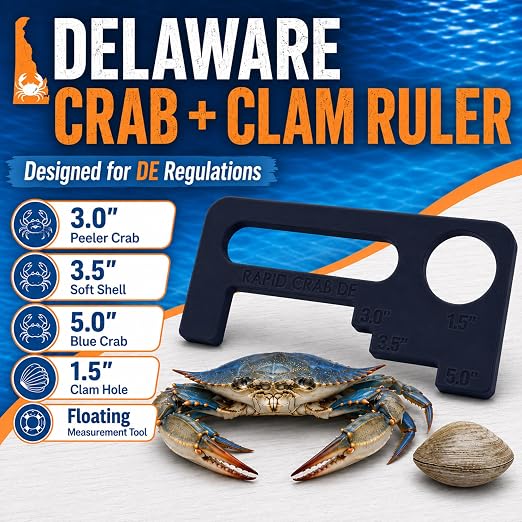 Crab Measurement Tool for DE Blue Crabs, Peeler Crabs, & Clams | DE Regulation