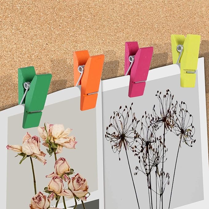 50Pcs Push Pin Clips Thumb Tacks