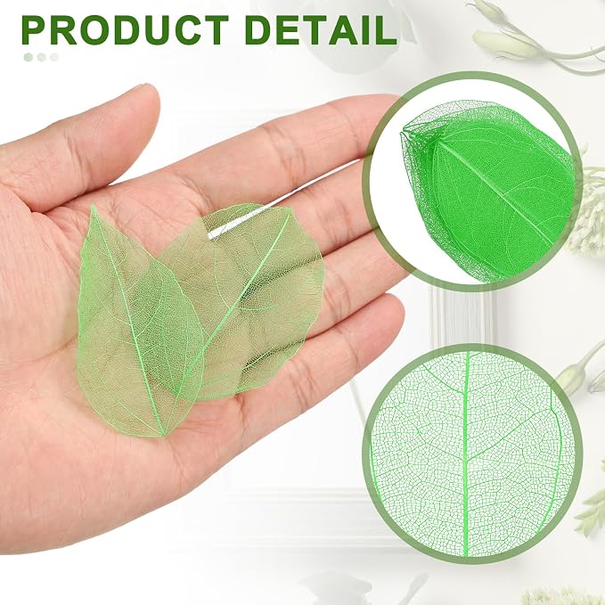 uxcell 100 Pcs Green Skeleton Leaves