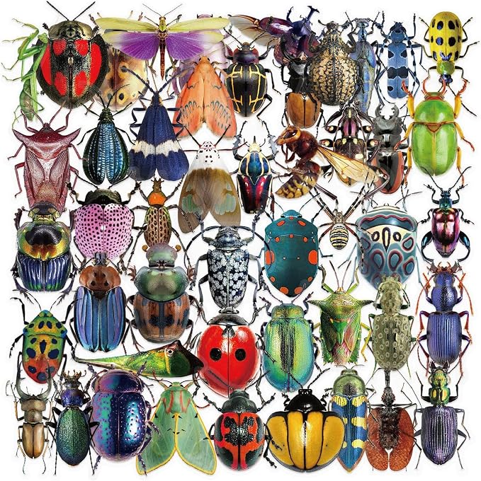 Bug Decals, Realistic Transparent Insect PET Sticker, Waterproof Bug Stickers