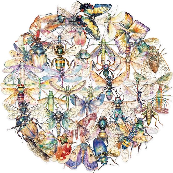 50PCS Transparent Watercolor Insect Stickers, Waterproof PET Decals, Colorful