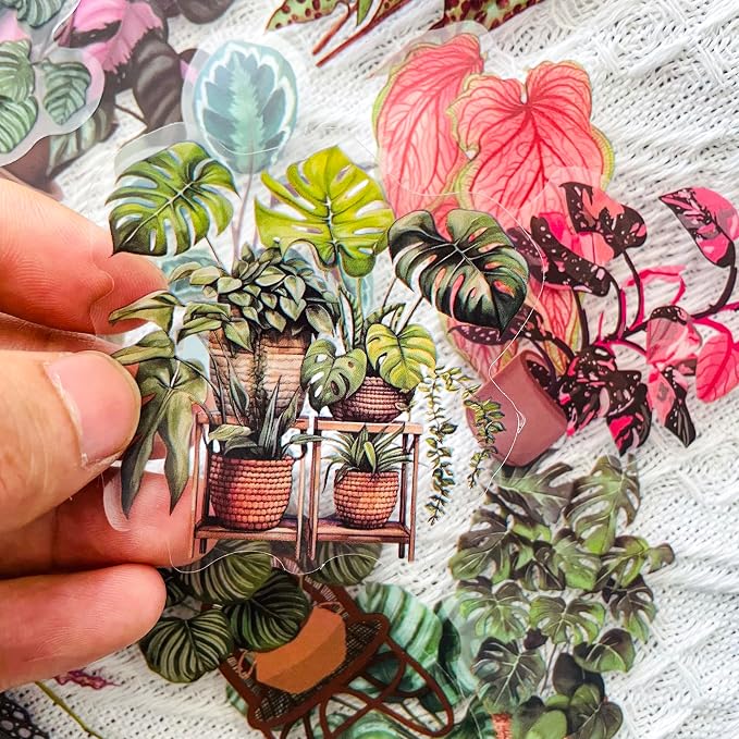 Yoksas Nature Alocasia Green Plants Stickers