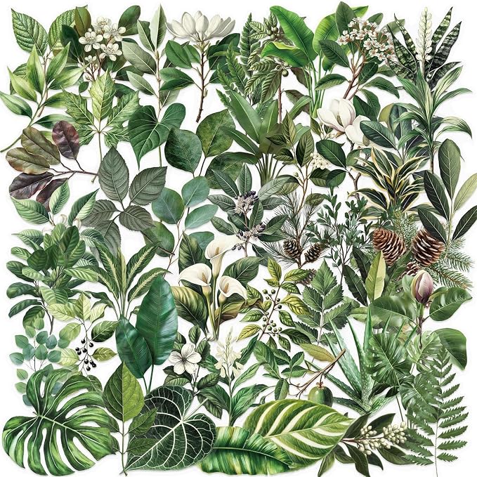 50pcs Transparent Green Leaf Sticker