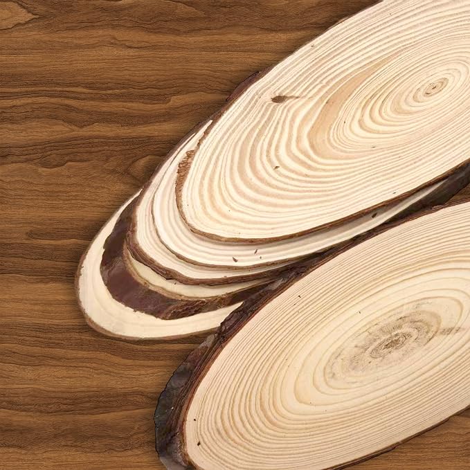 6Pcs Oval Basswood Hanging Plaques12-14 Unfinished Wood
