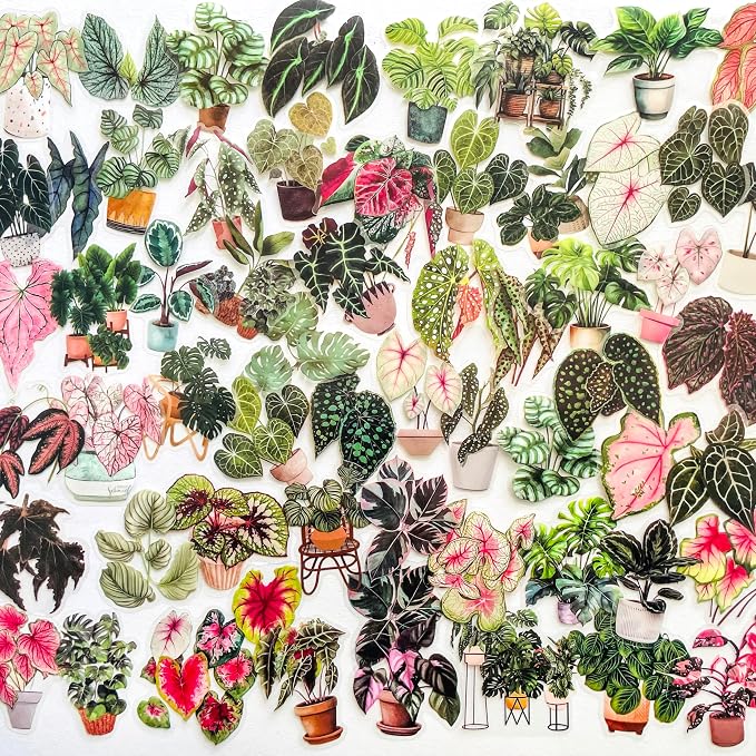 Yoksas Nature Alocasia Green Plants Stickers