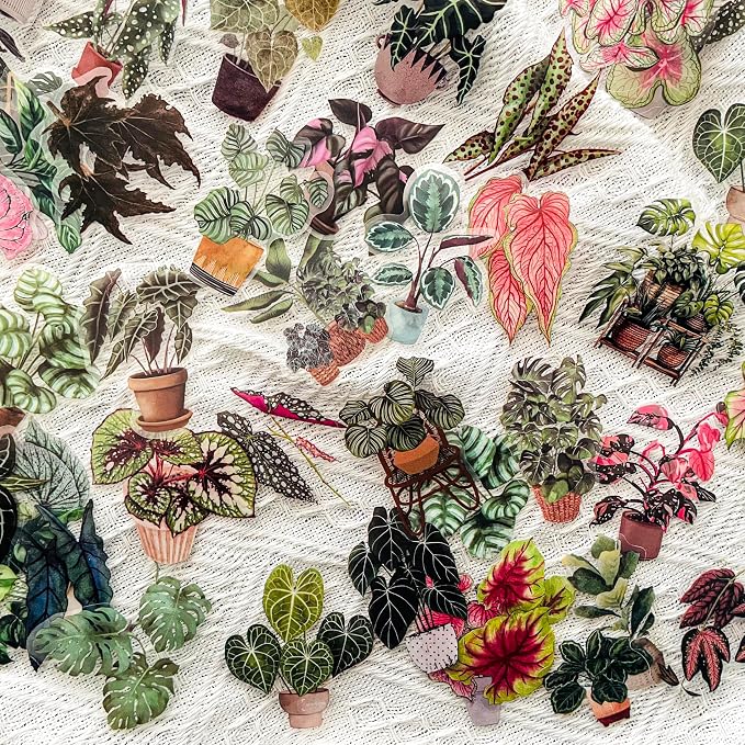 Yoksas Nature Alocasia Green Plants Stickers